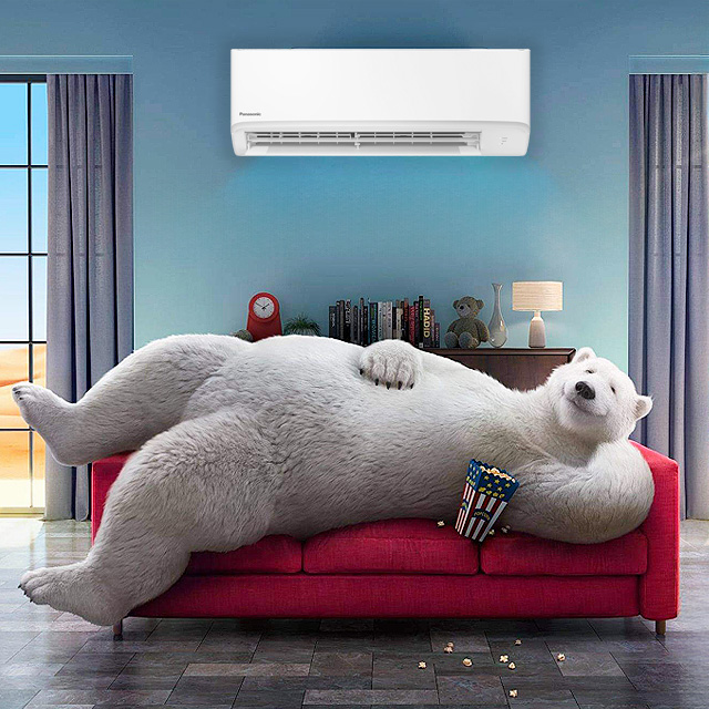 Img №1739803986_compact-3.jpg